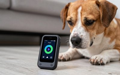 Best Way to Introduce a GPS Tracker to a Nervous Dog