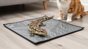 BN-LINK Durable Reptile Heating Pad 8 vs REPTIZOO Dimming Thermostat: Which Should You Buy?