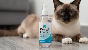 Dental Fresh Advanced Plaque Tartar Water vs Vetradent Water Additive: Which Should You Buy?
