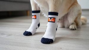DOK TigerToes Premium Non-Slip Dog Socks vs Roilpet Non Slip Dog Socks: Which Should You Buy?