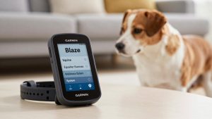 Garmin Blaze Equine Wellness System vs Black Horse 3 Bull Bar Parking: Which Should You Buy?