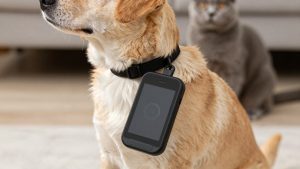 Gps collar vs airtag for pets in 2026