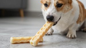 Himalayan Dog Chew Yogurt Sticks Review (2026)