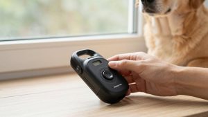 How to Choose Remote Training Collars with Vibration Only: What Actually Matters