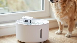 Is a Pet Water Fountain Worth It? An Honest Answer (2026)