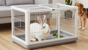 OIIBO Deluxe Rabbit Cage vs Living World: Which Should You Buy?