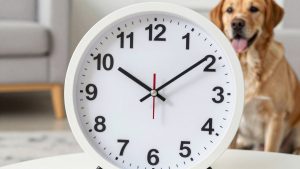 Best V Clock in 2026: Top Picks for Every Budget
