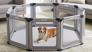 VISCOO 20 Panels Small Animal Playpen vs MEEXPAWS Guinea Pig Cages Small Animal: Which Should You Buy?
