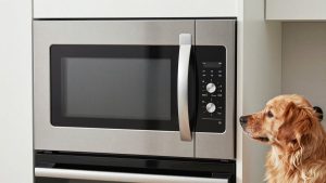 Best Wall Oven Microwave Combo in 2026: Top Picks for Every Budget
