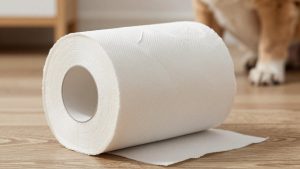 Best When Was Toilet Paper Invented in 2026: Compared and Ranked