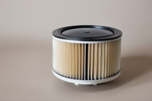 Air Filter For Dust And Pet Hair