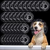 6 Best Dog Ear Protectors for Bathing (October 2026) Expert Picks