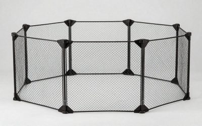 Best Puppy Playpens for Apartments: 8 Picks by Floor Space